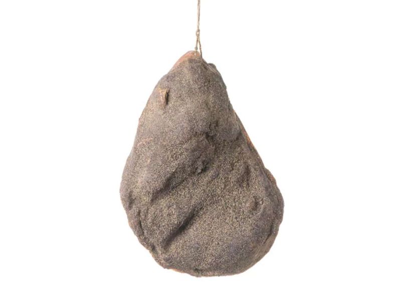 spalla stagionato-spallotto